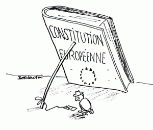 Constitution piège à cons
